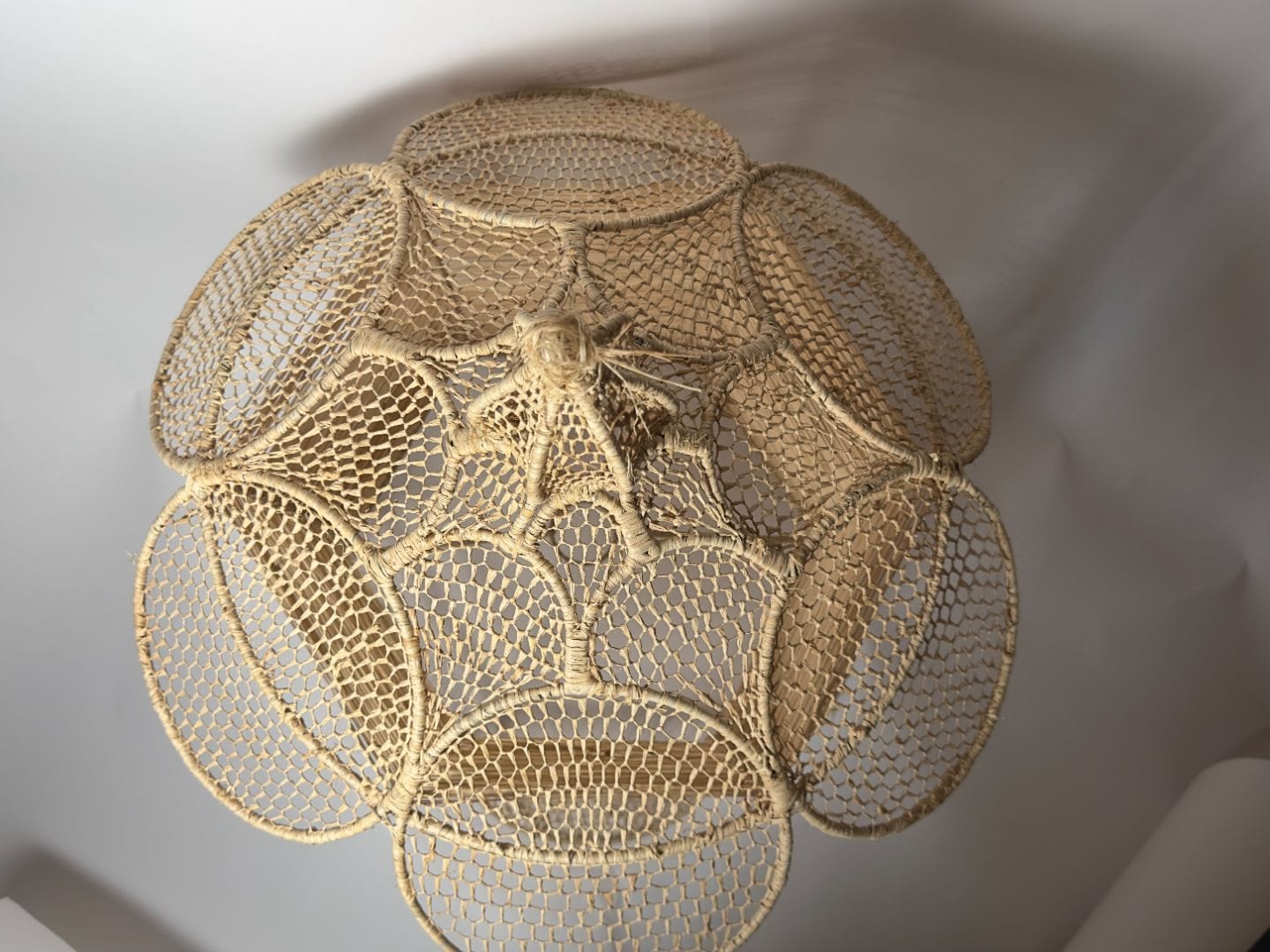 "Desert Bloom" Raffia Light Fixture