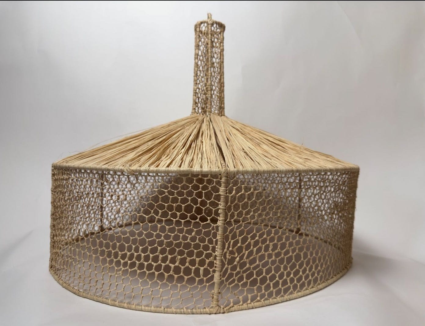 "Palm Hut" Raffia Light Fixture