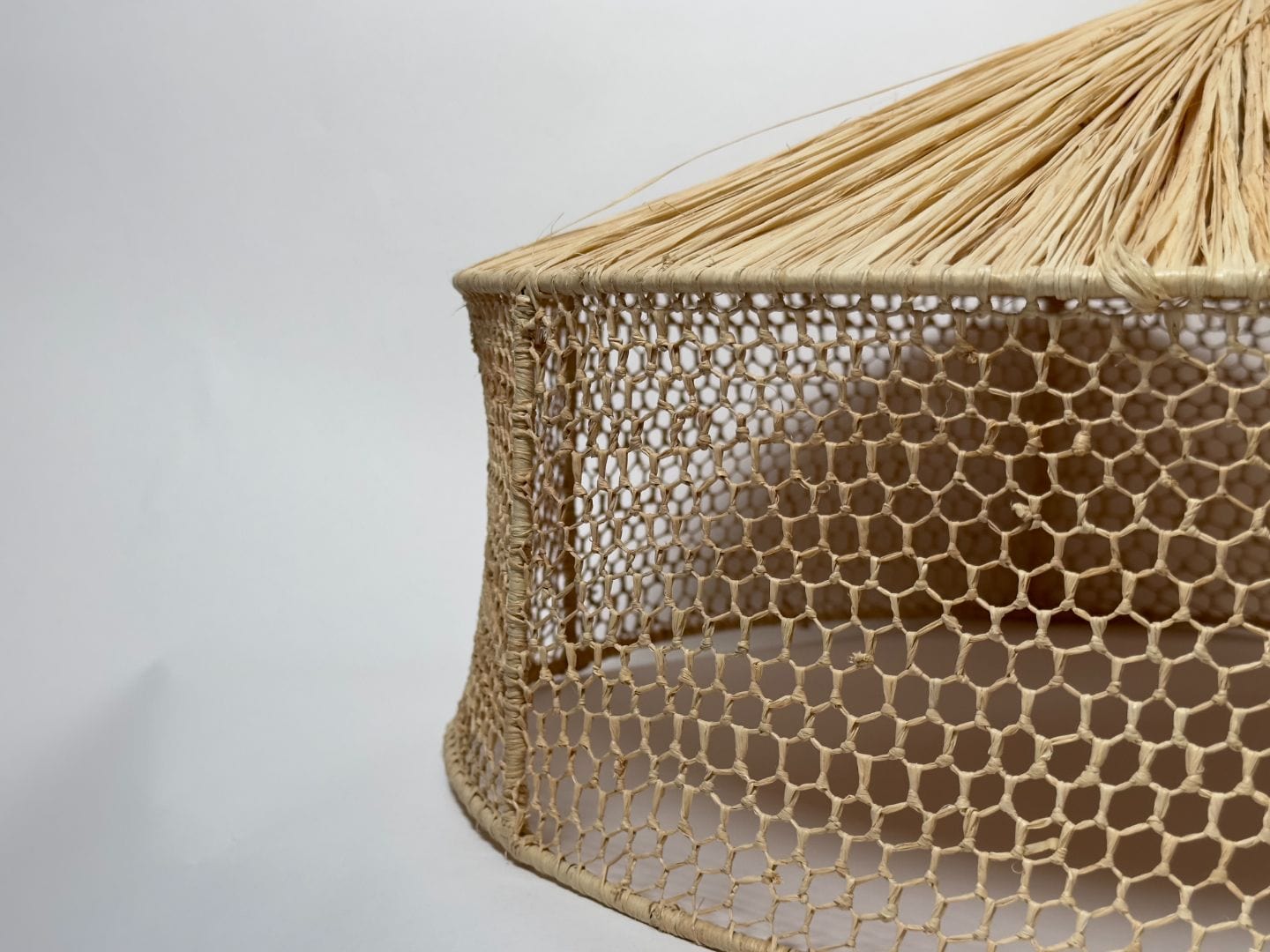 "Palm Hut" Raffia Light Fixture